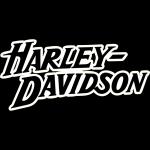 Anniversaire de chapter Harley Davidson dans le 78